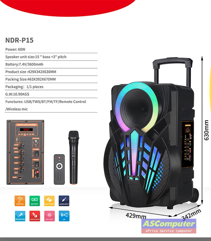 Ndr-P15 Enceinte Bluetooth High Power Party Box avec microphone sans fil