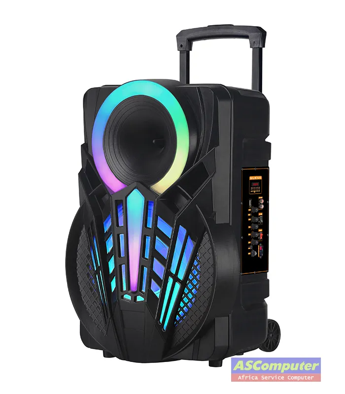 Ndr-P15 Enceinte Bluetooth High Power Party Box avec microphone sans fil