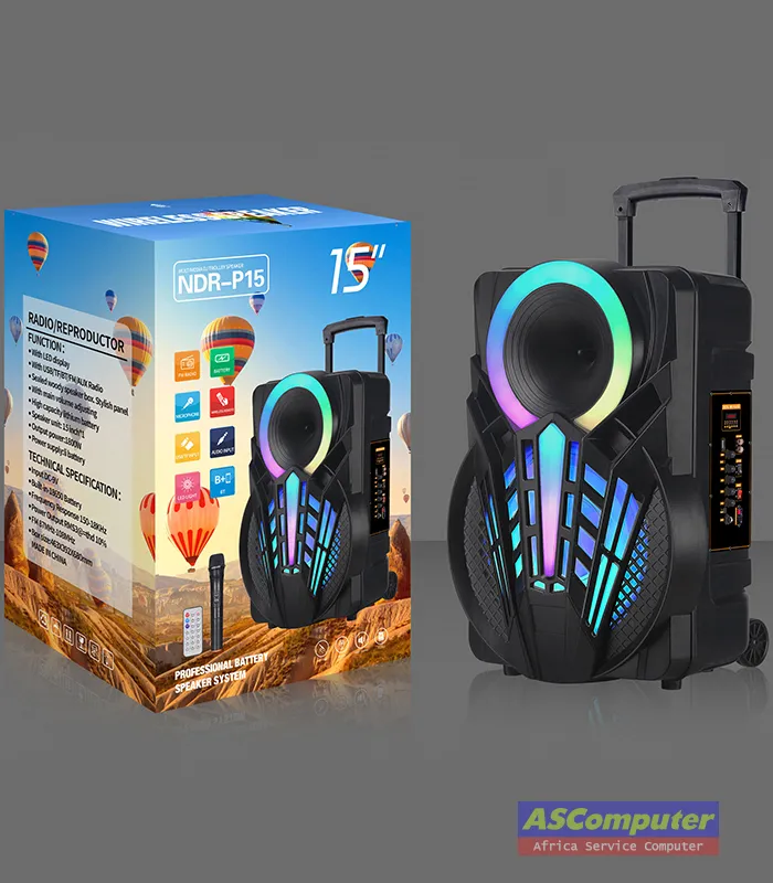 Ndr-P15 Enceinte Bluetooth High Power Party Box avec microphone sans fil